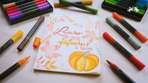 Faber-Castell 16 Albrecht Durer Watercolour Markers - Sample Video