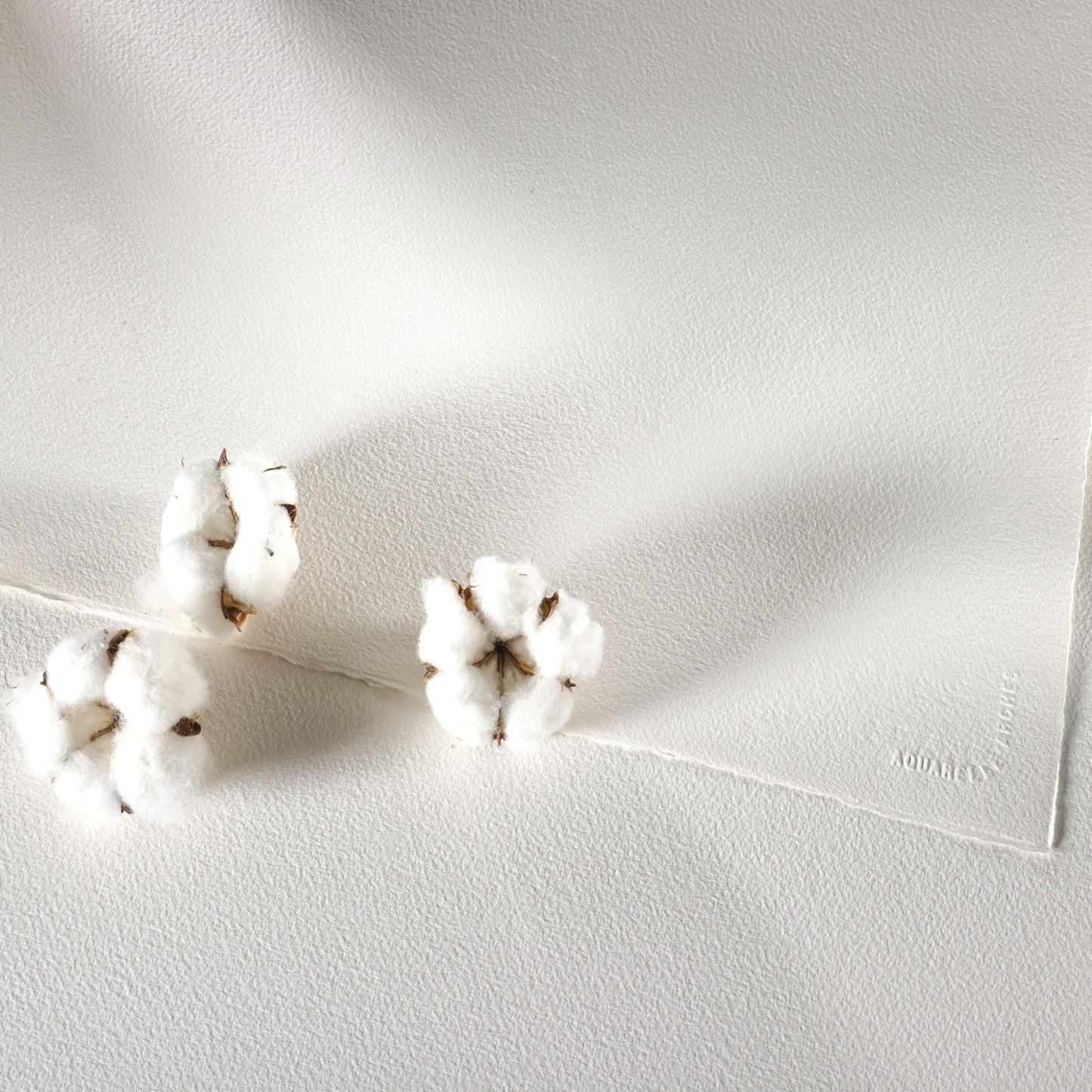 Closeup of Arches Block