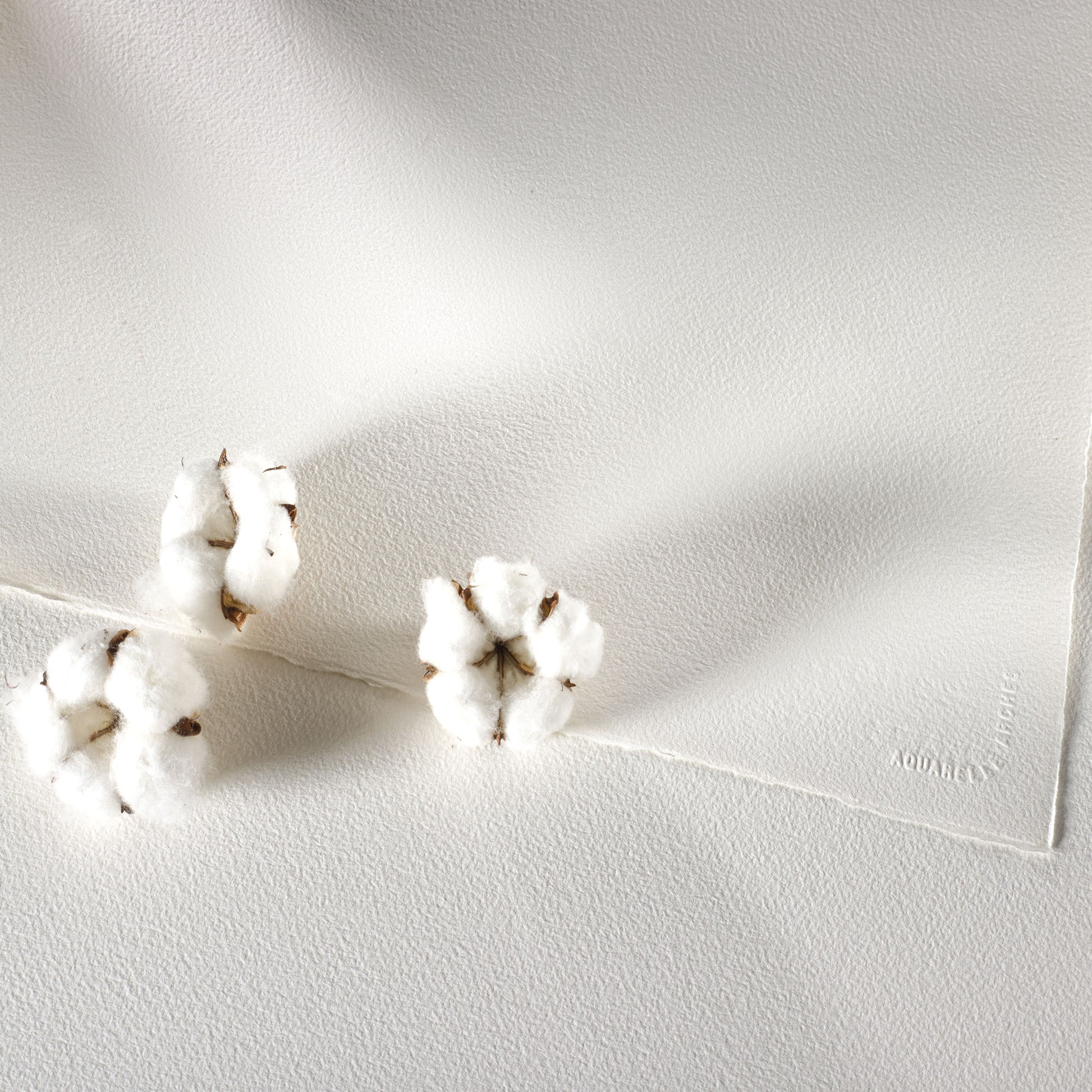 Closeup of Arches Block