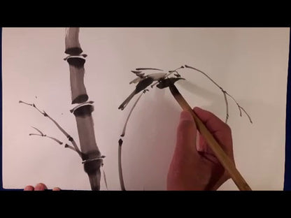 Hahnemühle Sumi-e Pad - 80gsm - 20 Sheets - 24 x 32cm