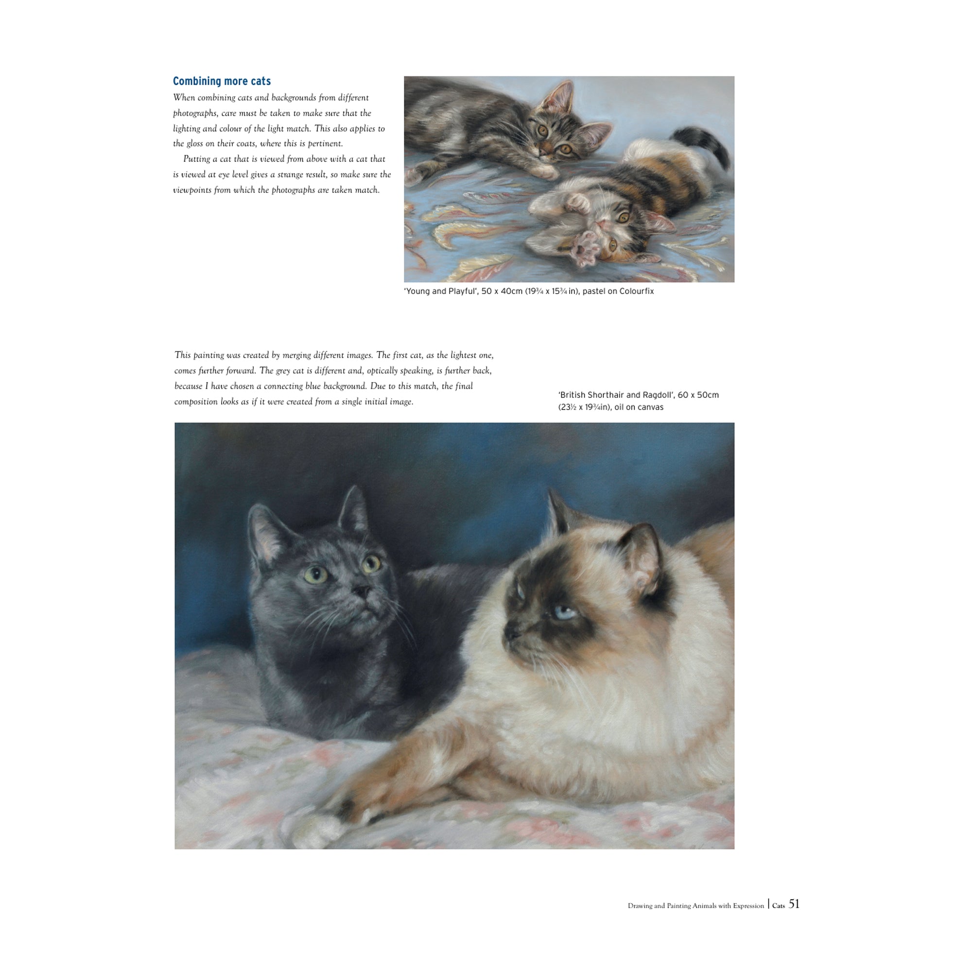 Drawing and Painting Animals with Expression M. Kruijt