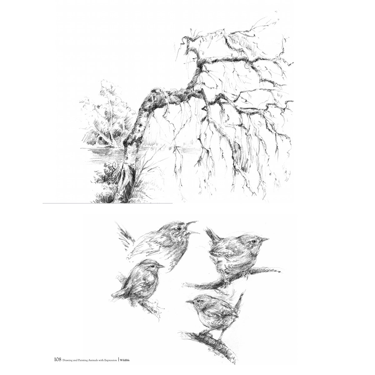 Drawing and Painting Animals with Expression M. Kruijt