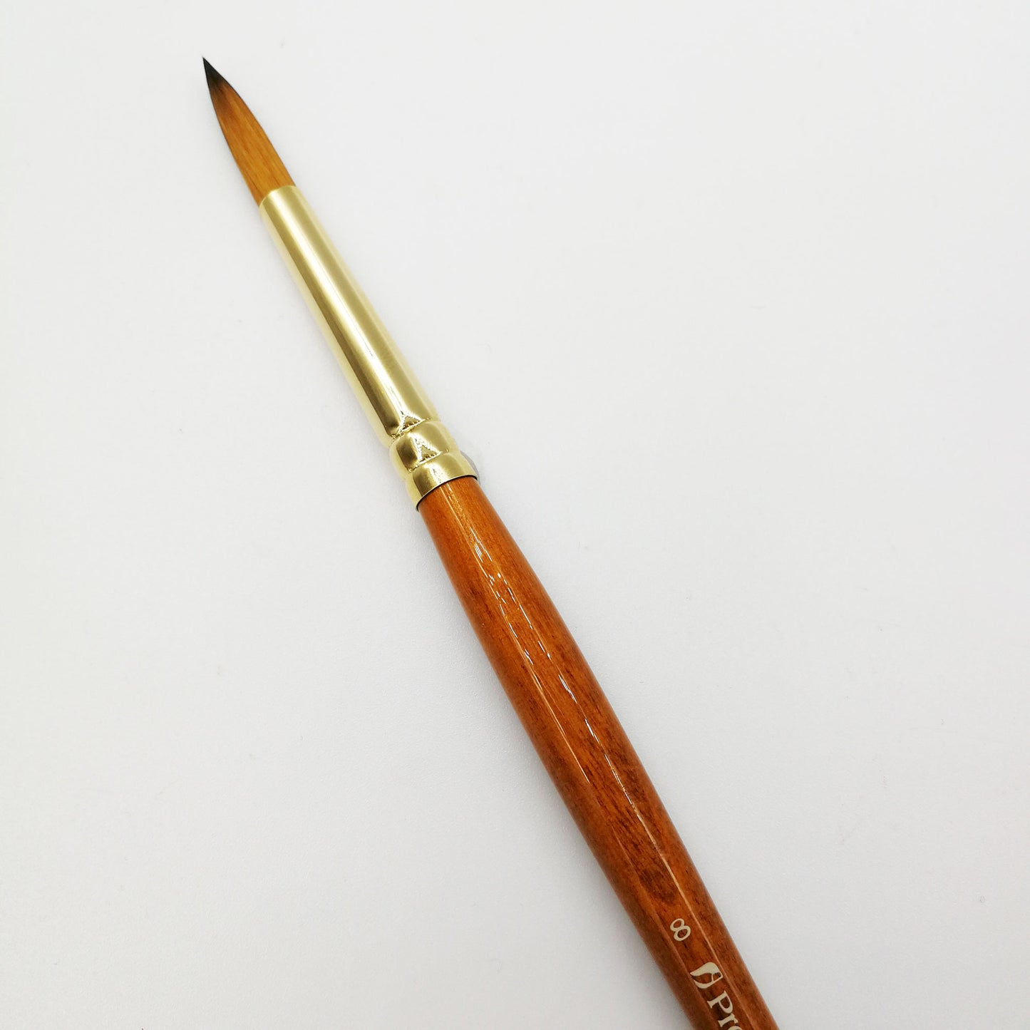 Prolene Plus Series 007 Round Closeup