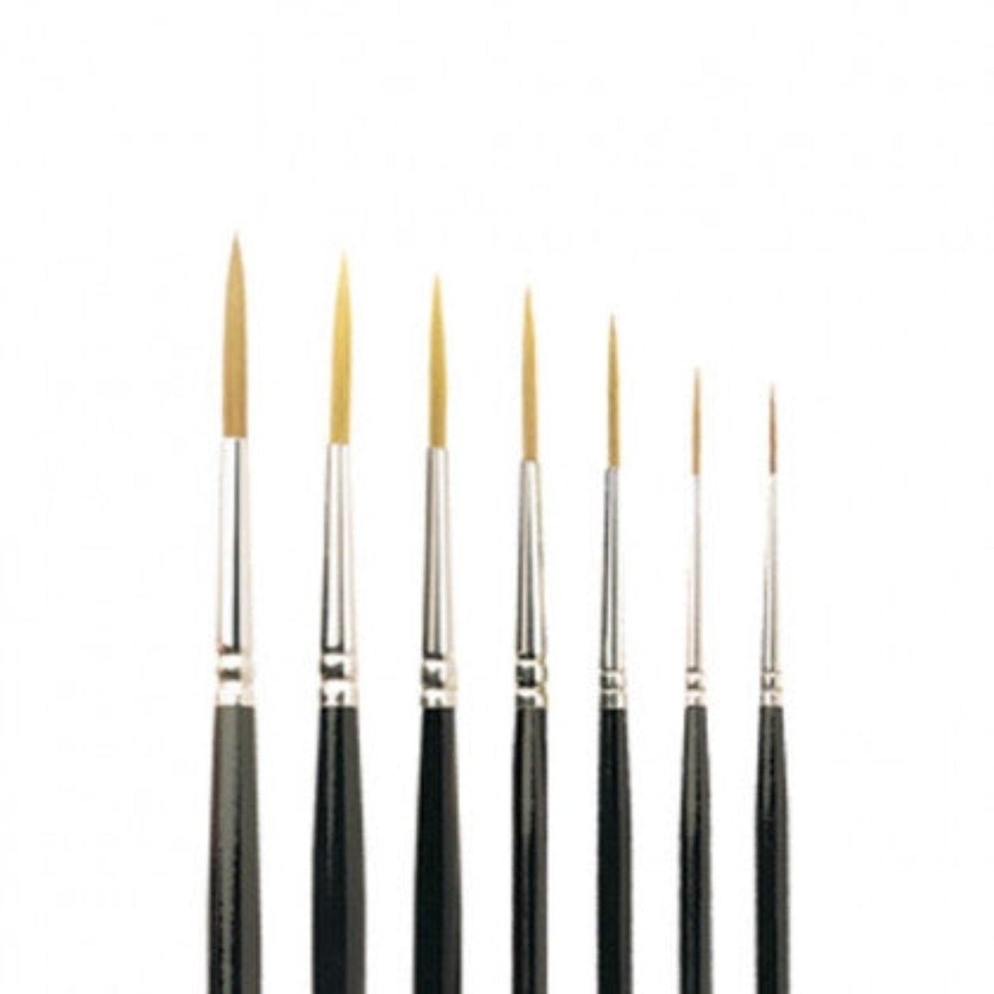 Pro Arte Prolene Riggers Series 103 - Bristles Closeup