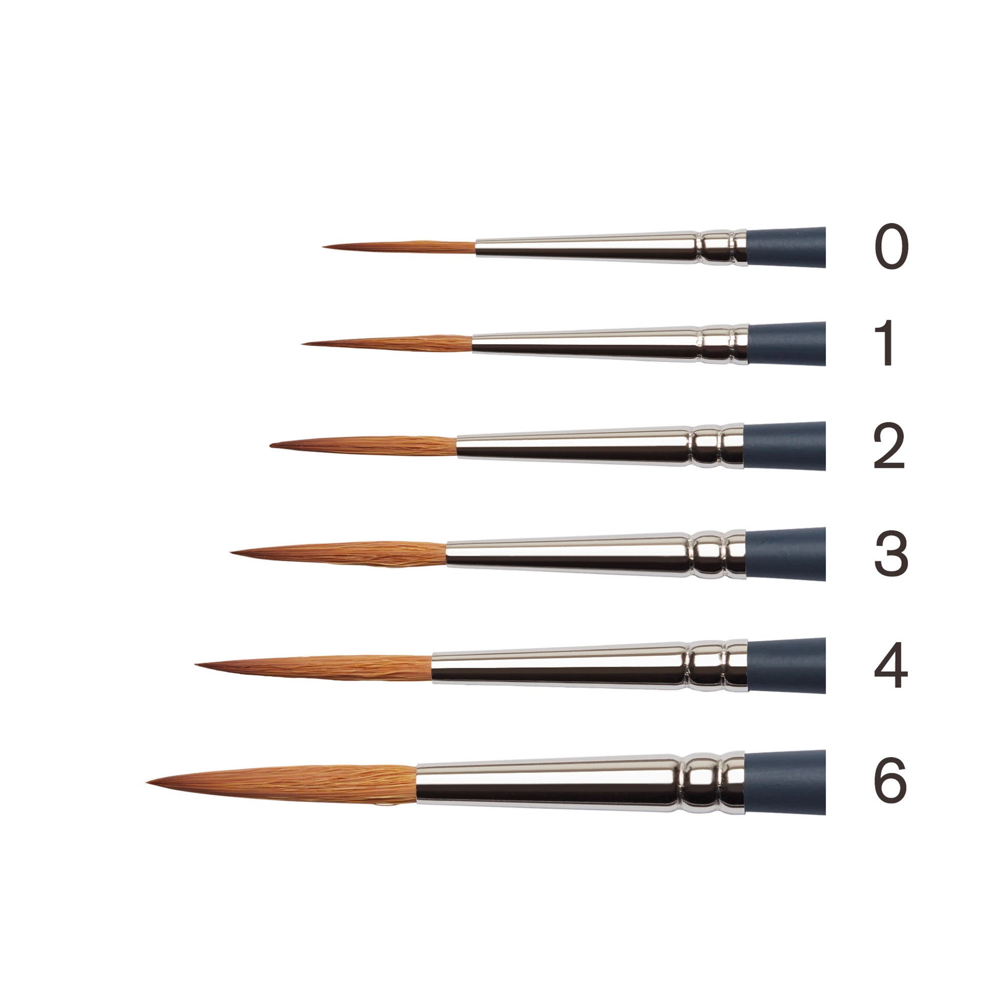Synthetic Sable Brushes - RIGGER - Bristles Closeup & Size Comparison