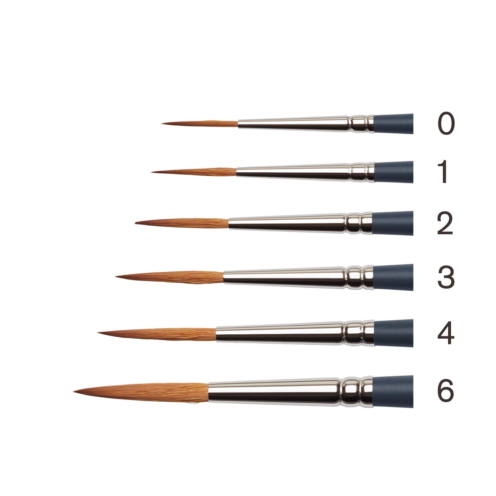 Set of 6 Sable Artist Brushes - 'The Oxford' Round Head Brush