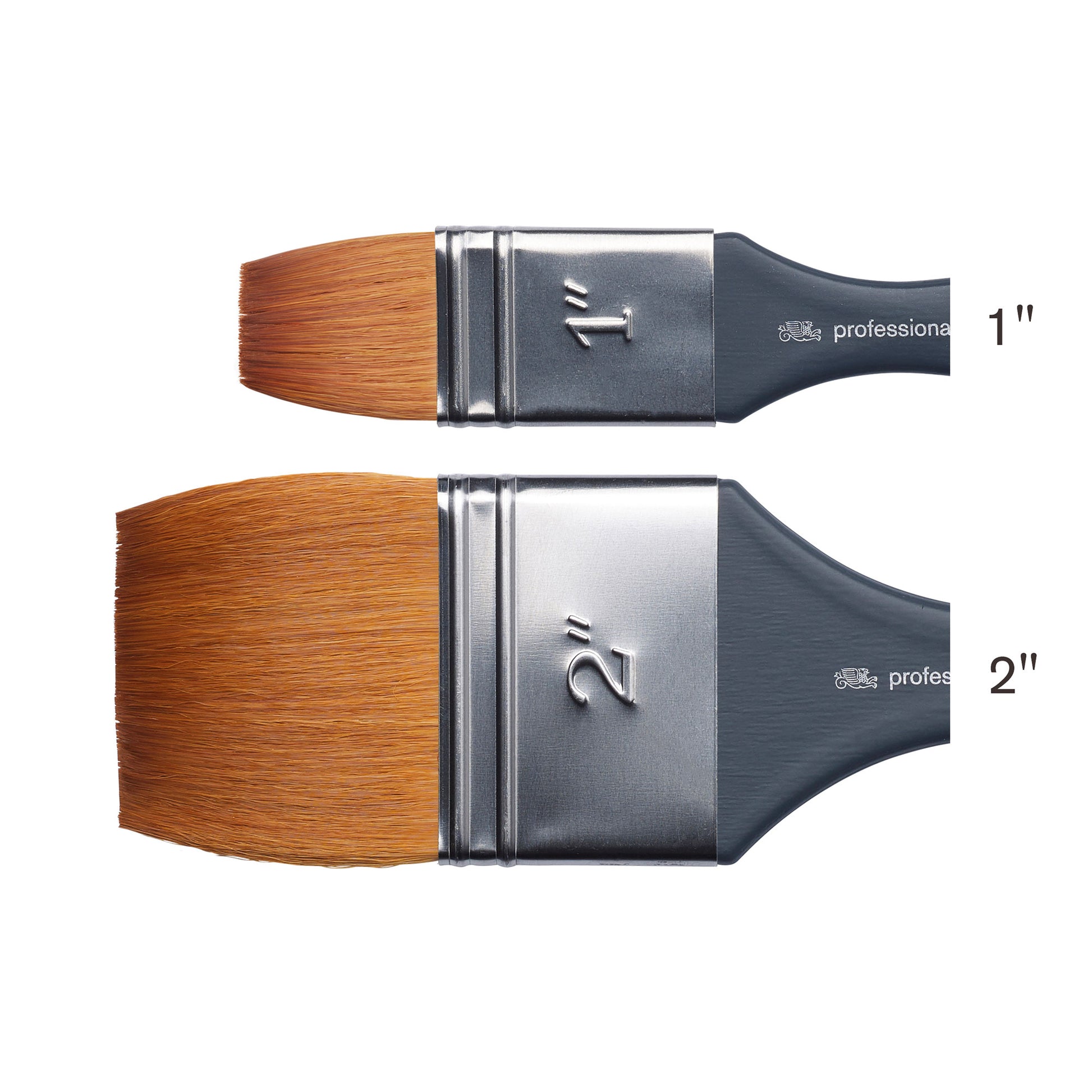 Synthetic Sable Brush - WASH - Bristles Closeup & Size Comparison